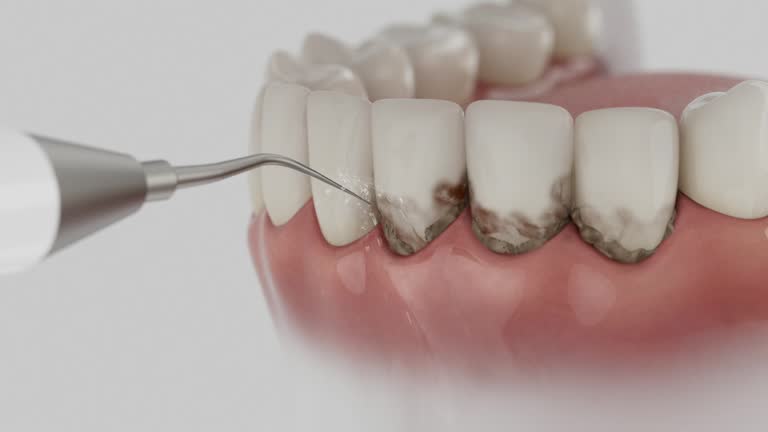 Reliable Dental contractor in Whitewright, TX by Dentist Open Now